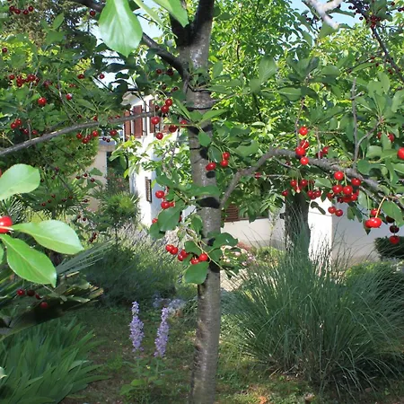 By The Sea - 7806 * Cres